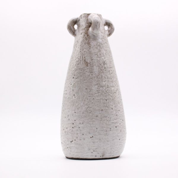 Ears of a Squid Clay Bottle