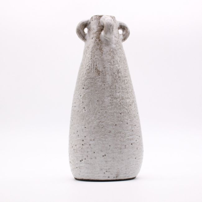 Ears of a Squid Clay Bottle