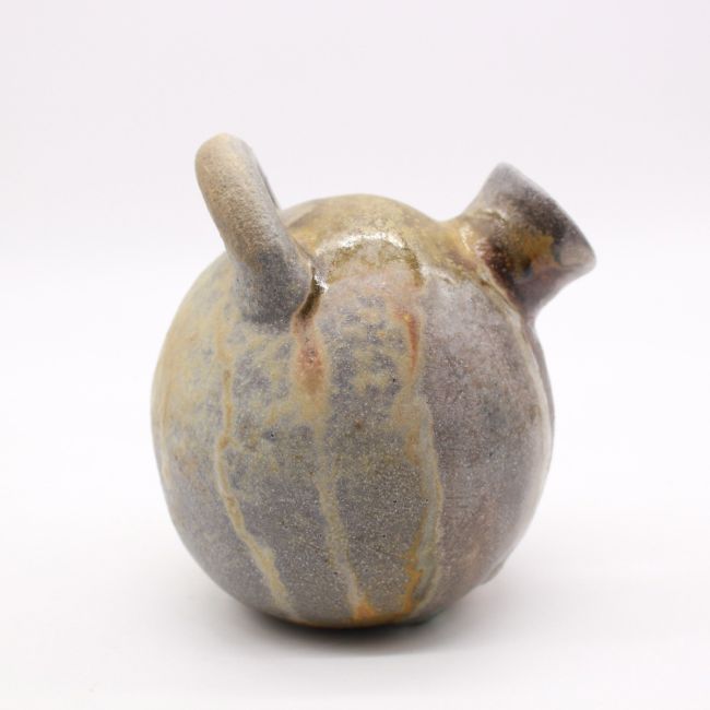 Hold it Like a Bag Bottle 5